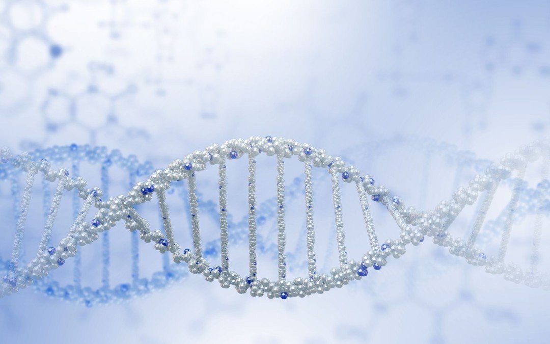 PRP Therapy - Platelet Rich Plasma Therapy - Platelet Rich Therapy