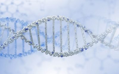 PRP for Back Pain and Spinal Issues: Effectiveness and Considerations