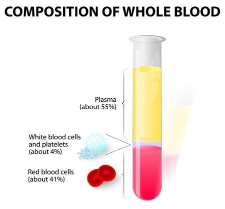 Platelet Rich Plasma - PRP