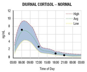 Diurnal Cortisol - Normal